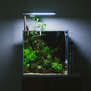 nano tank