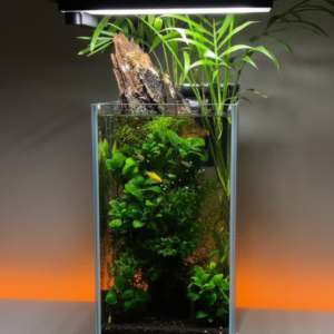 planted tank model 2 (3)